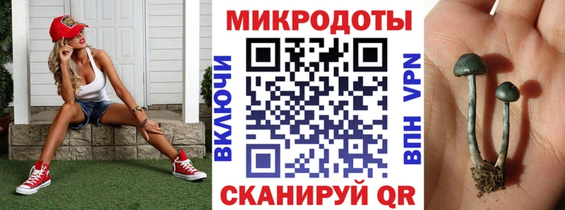 Псилоцибиновые грибы ЛСД  ссылка на мегу как зайти  Шарья 
