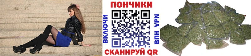 Бошки Шишки Amnesia  Шарья 